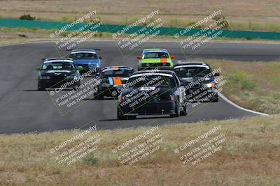 media/May-04-2024-Lucky Dog Racing (Sat) [[d39539b3f3]]/Race Pics/1015am (Turn 2)/